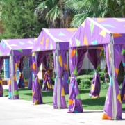 Outdoor Party Toilet Rentals